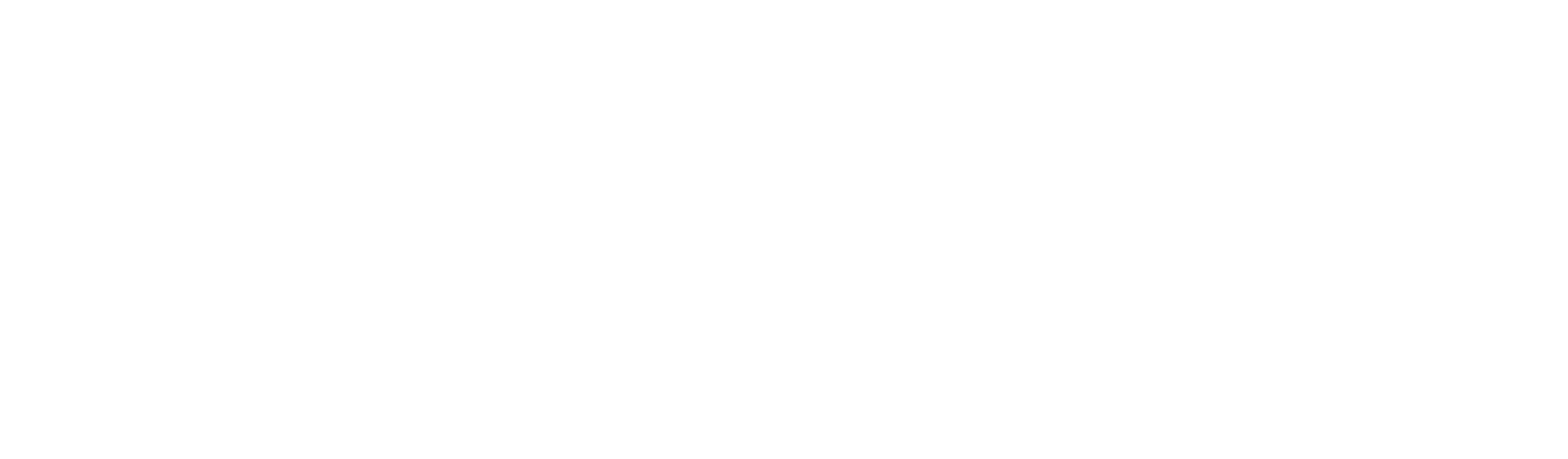 FT's Life Care Wellness Centre, INC.